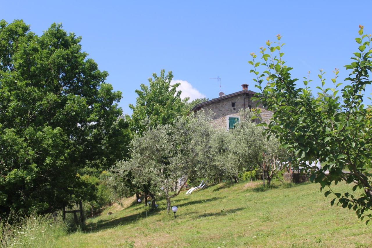 Agriturismo Angio Nel Cere Bracelli Dış mekan fotoğraf