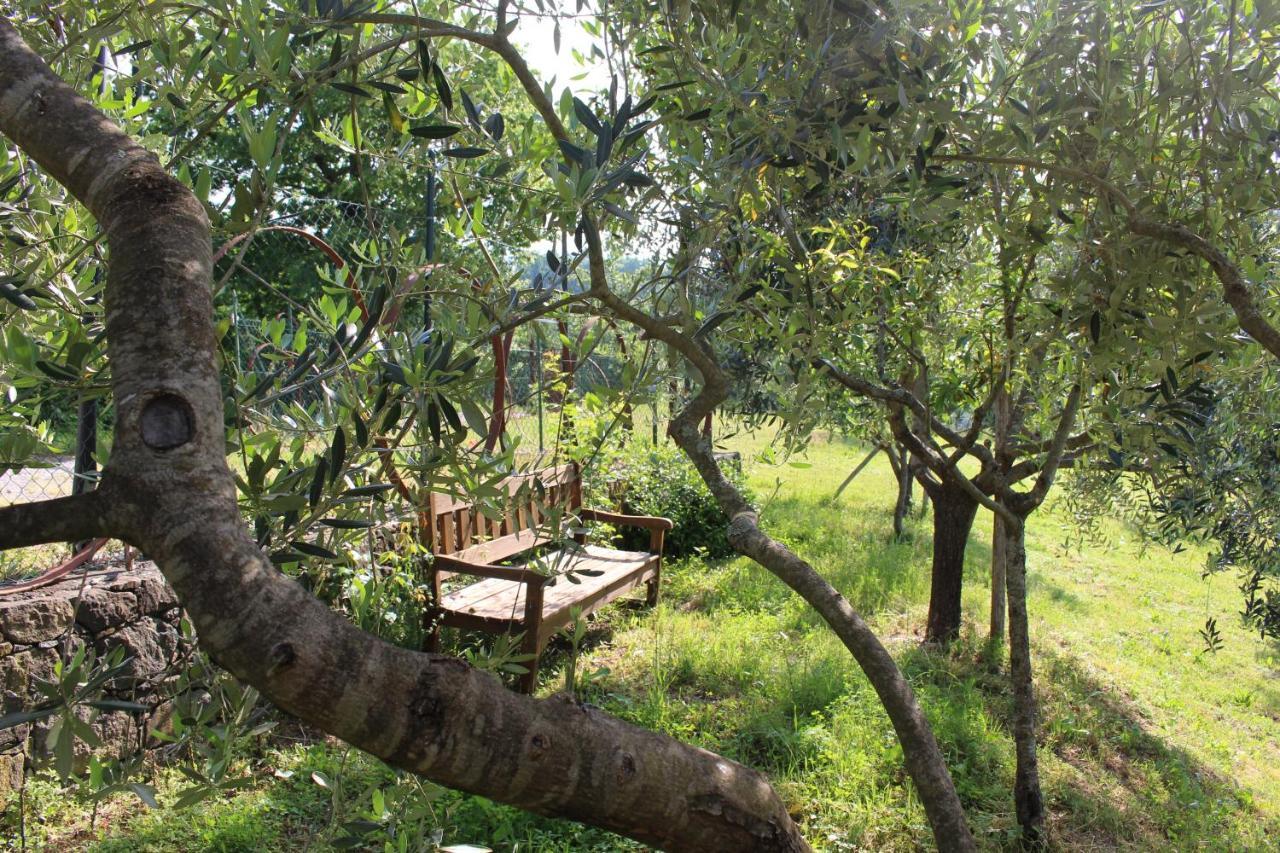 Agriturismo Angio Nel Cere Bracelli Dış mekan fotoğraf