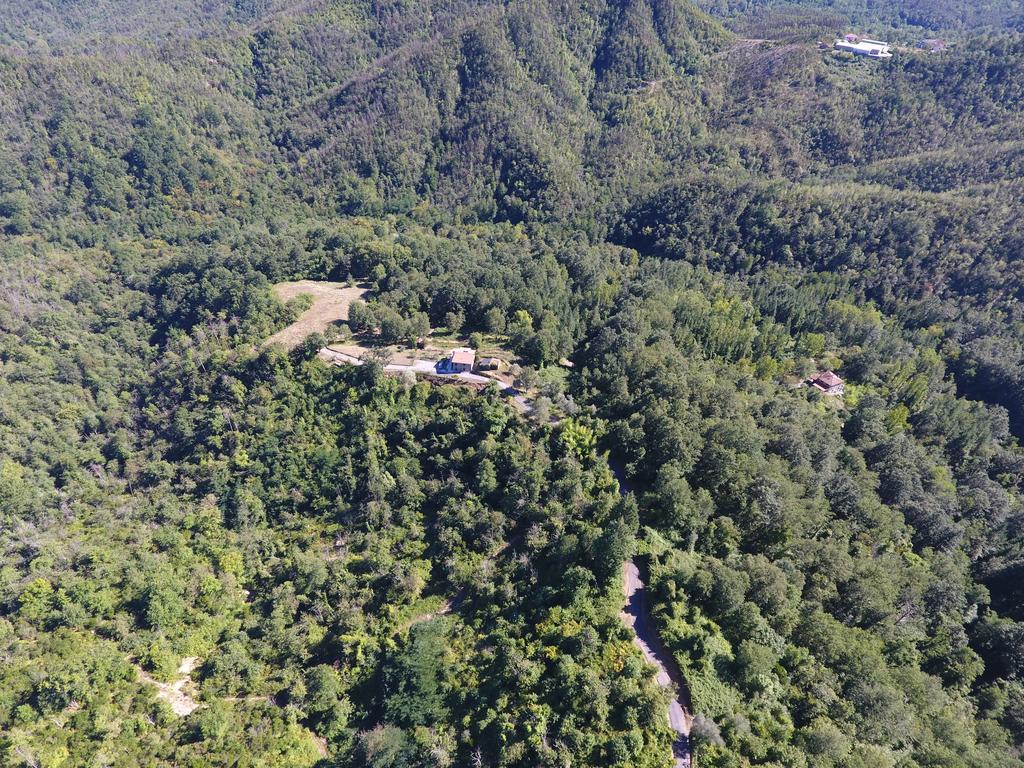 Agriturismo Angio Nel Cere Bracelli Dış mekan fotoğraf