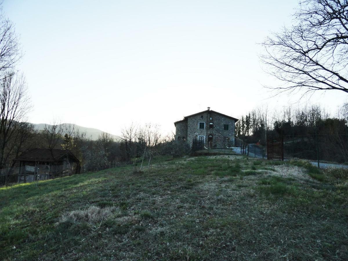 Agriturismo Angio Nel Cere Bracelli Dış mekan fotoğraf