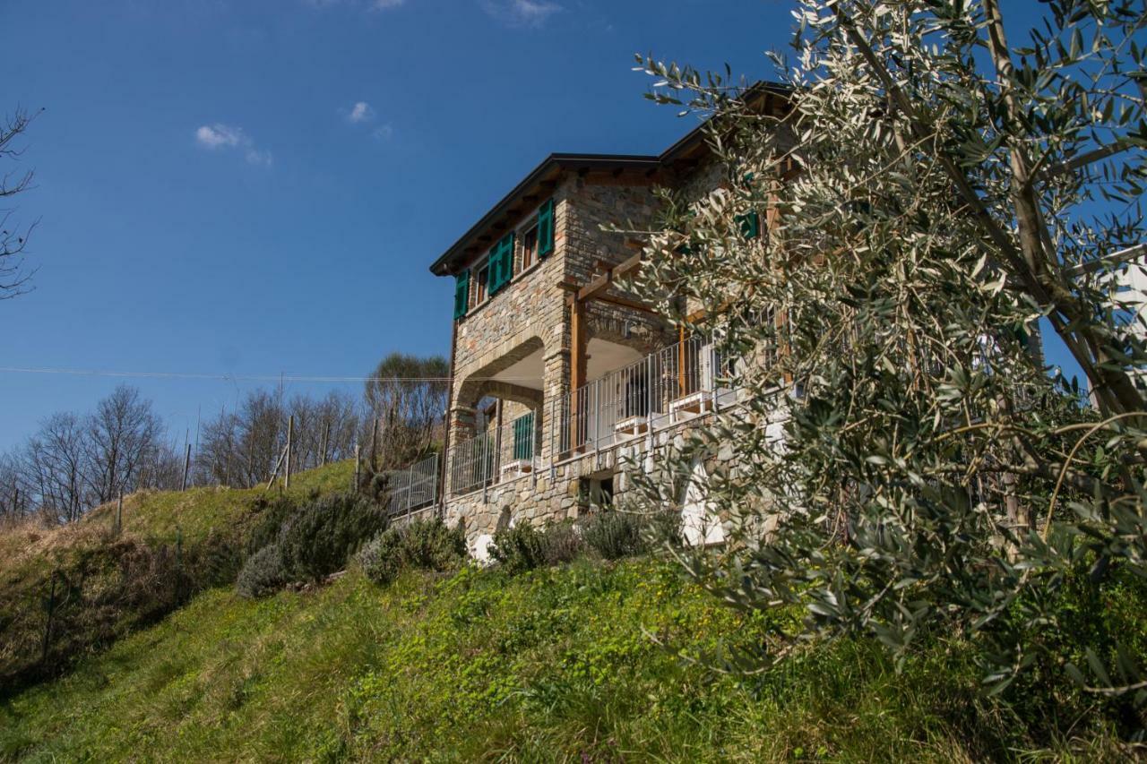 Agriturismo Angio Nel Cere Bracelli Dış mekan fotoğraf