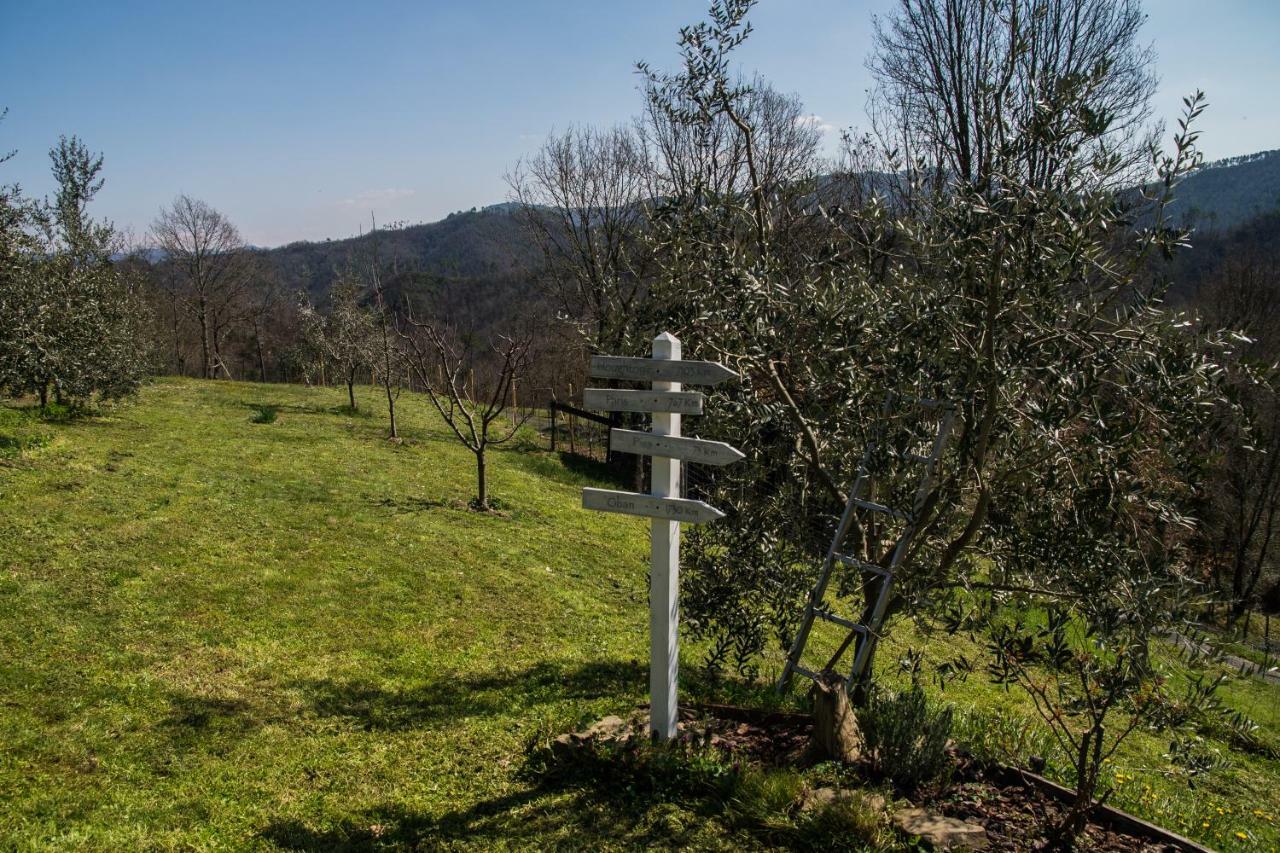 Agriturismo Angio Nel Cere Bracelli Dış mekan fotoğraf